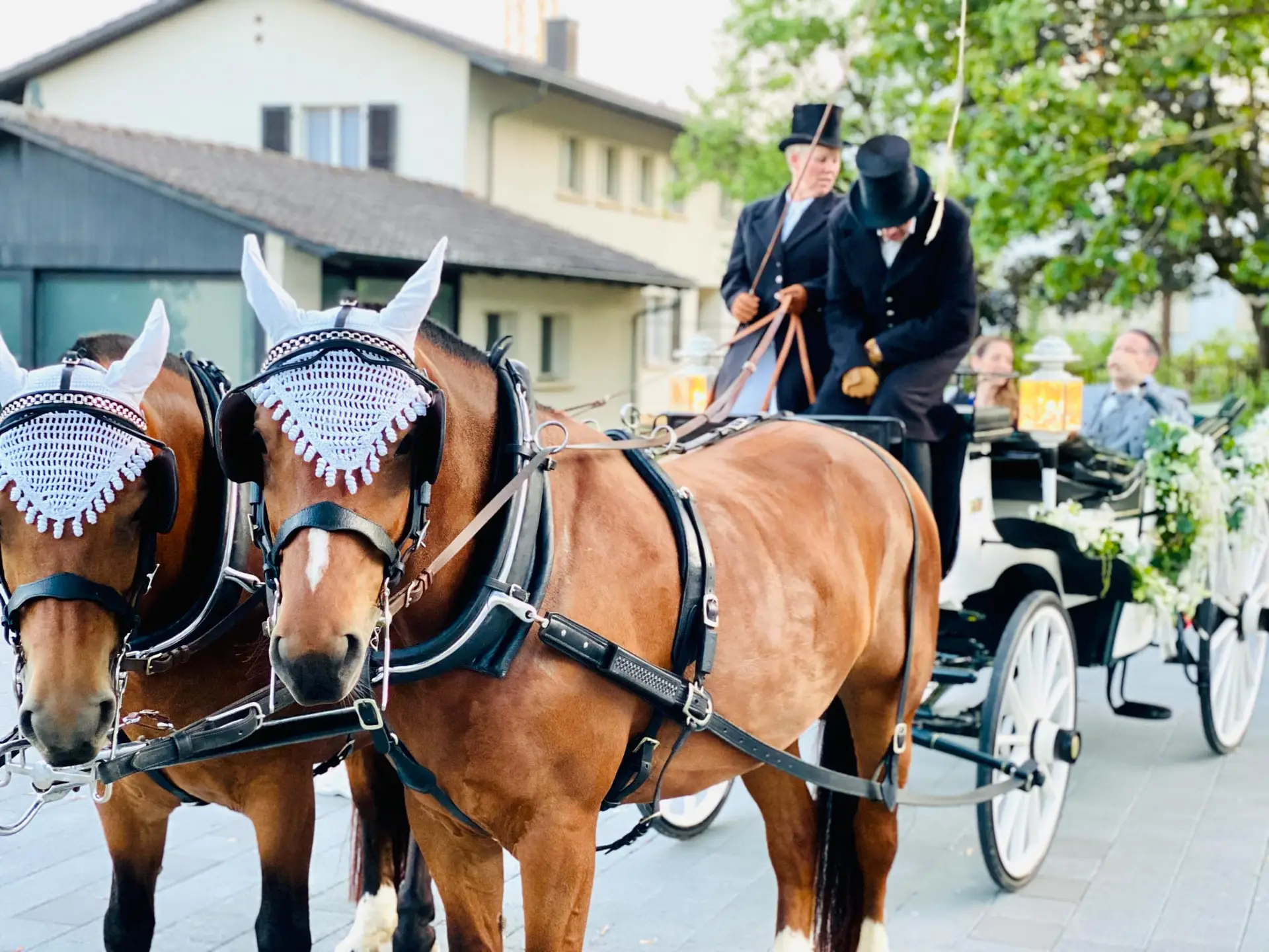 Hochzeitspaar in einer Pferdekutsche
