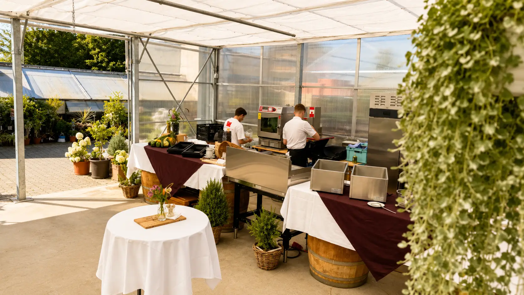 Triibhuus Rothrist – Sommerfest im Gewächshaus